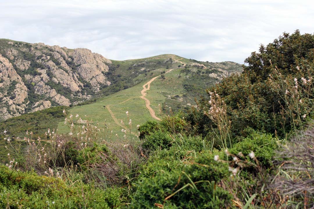 Route du Capo Rosso en Corse