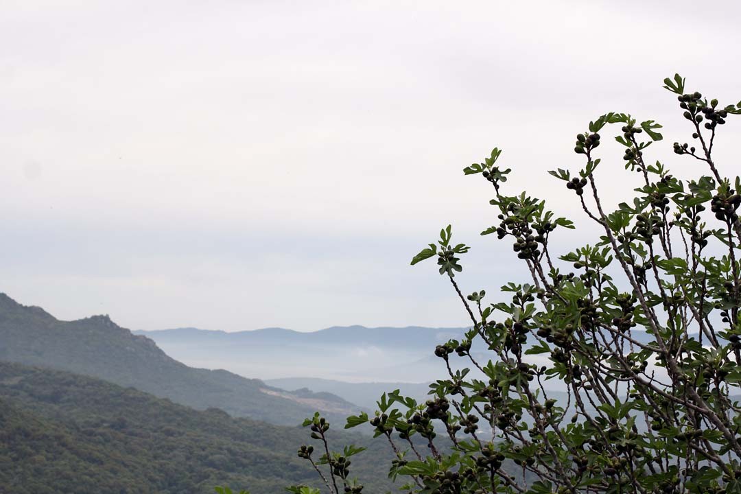 Vue depuis Sartène sur la Vallée du Rizzanese en Corse du Sud
