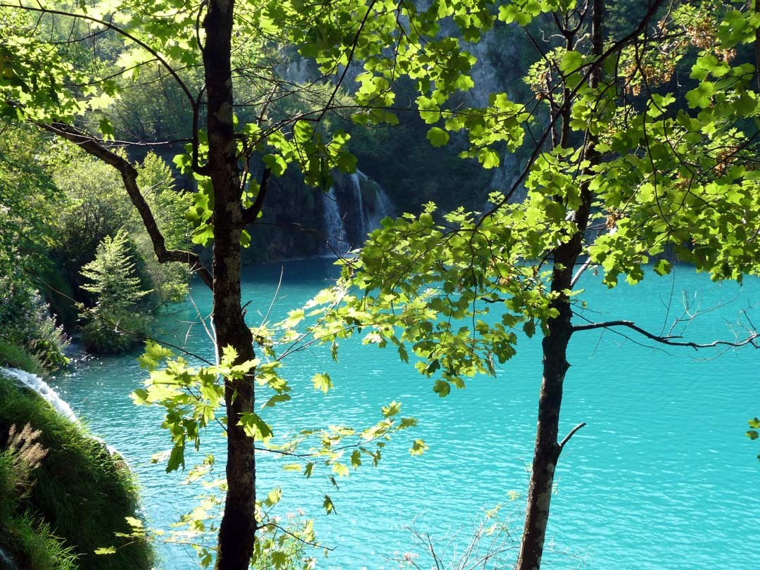 Lacs de Plitvice Parc Naturel Croatie