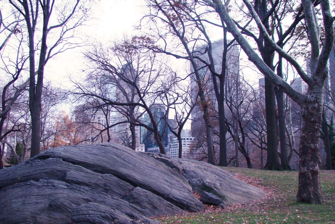Rocher Central Park New York