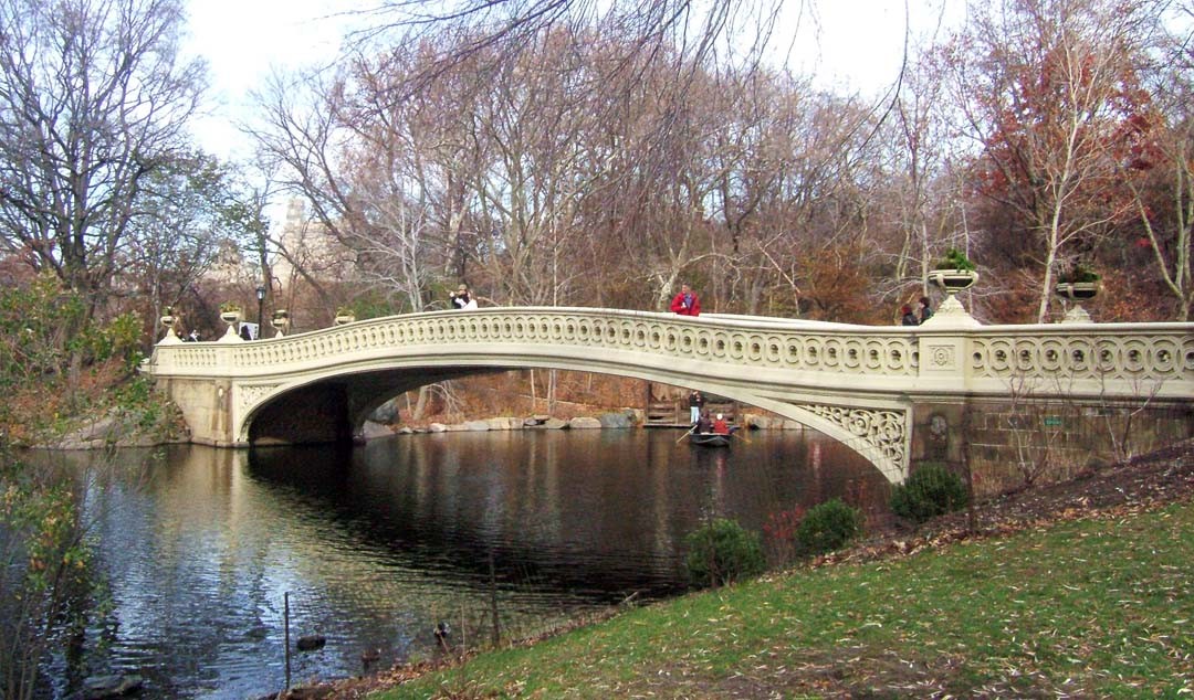 Pont Central Park New York