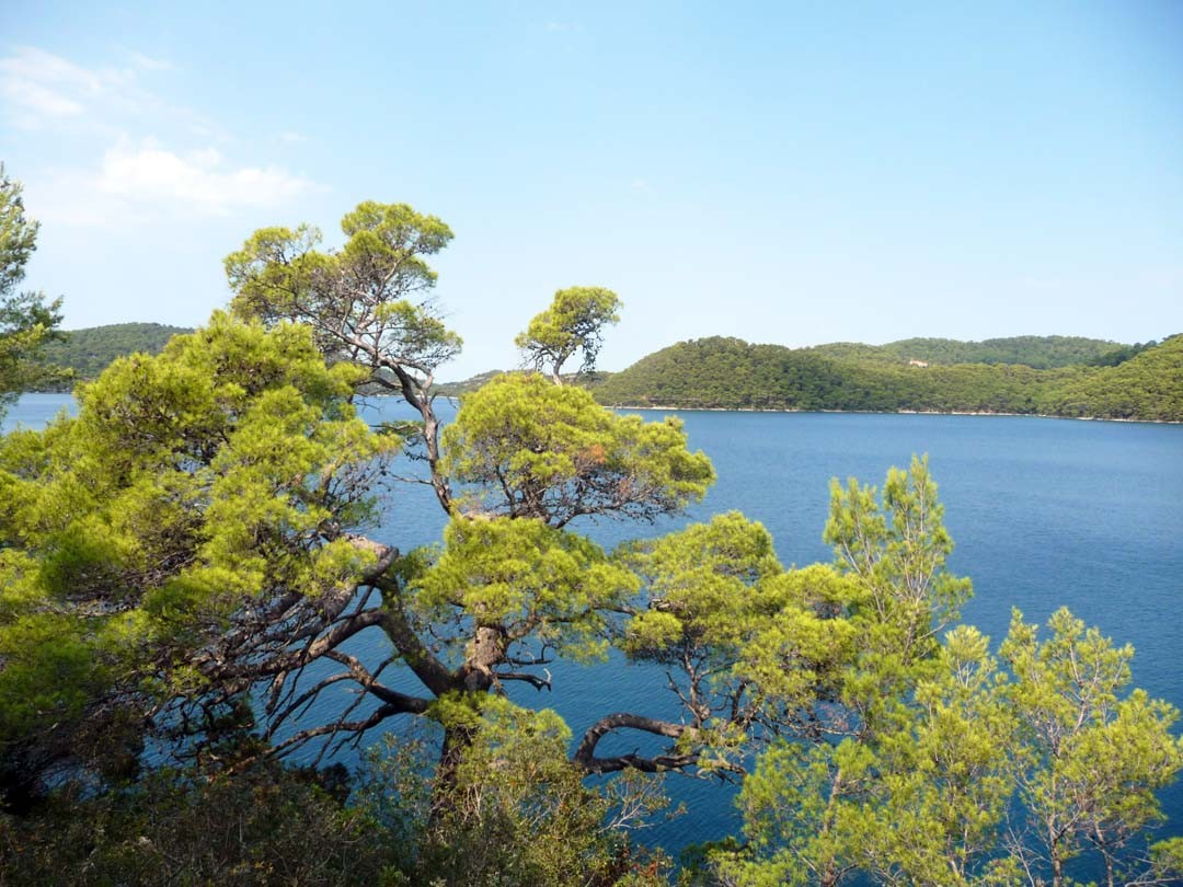 île de Lokrum à Dubrovnik