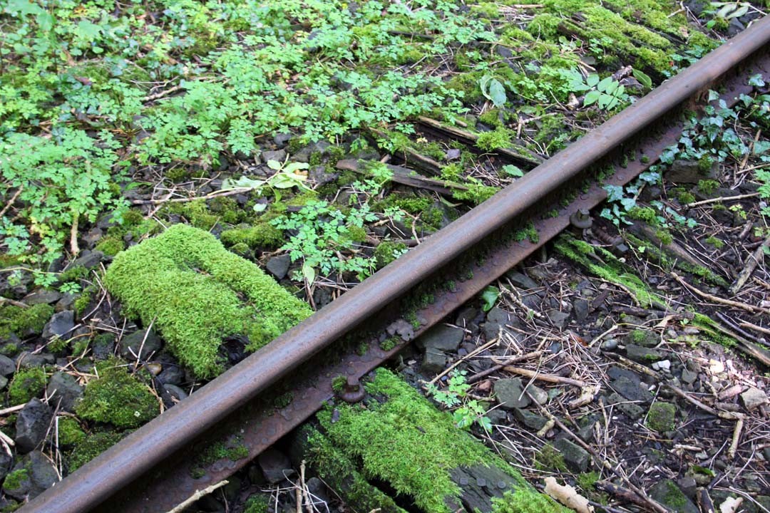 Voie de chemin de fer abandonnée
